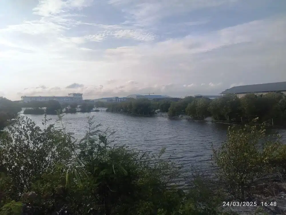 Dijual tanah Industri Kaliwungu LT 3,9 Hektar