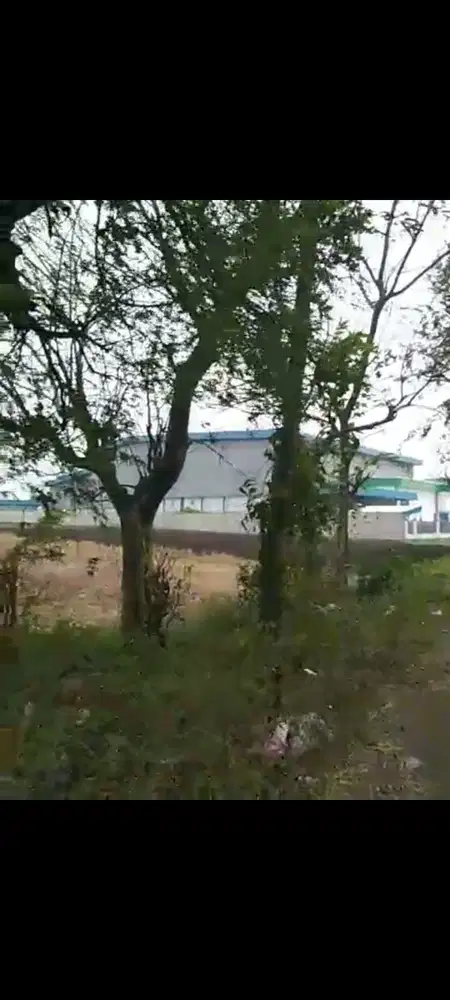 Lahan urugan luas 6 HA harga 850 ribu permeter di Rejoso, Nganjuk