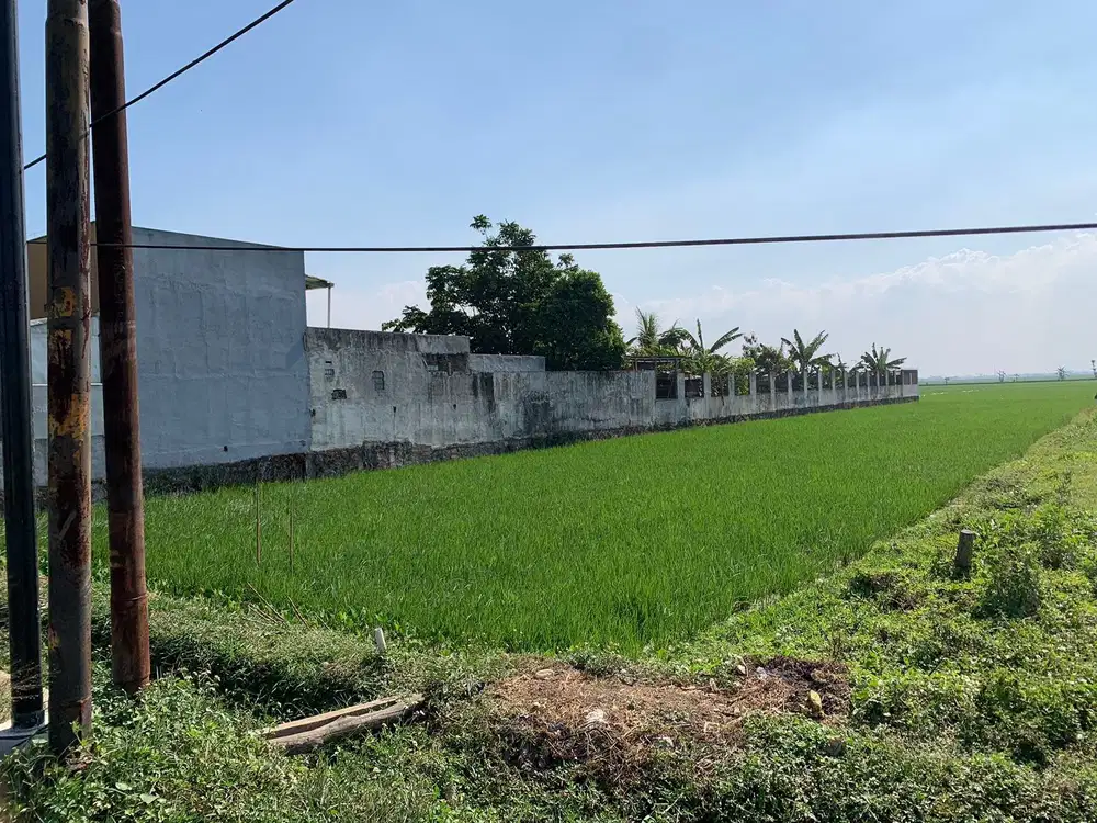 LAHAN KOMERSIAL DI RANCAEKEK MAJALAYA BANDUNG