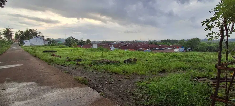 TANAH SHM LOKASI STRATEGIS SAMPING PERUMAHAN DI TRITIH KULON CILACAP