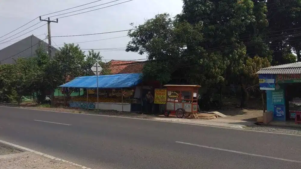 Tanah Dipinggir Jalan Raya Cinangsi Cibogo dekat PT. TKG Taekwang