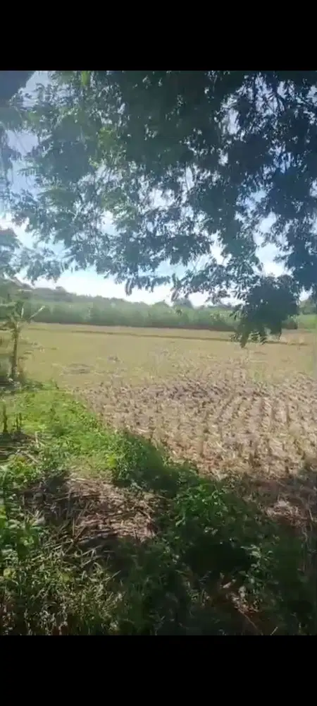 Lahan industri 3 HA harga 750 ribu permeter di Lengkong, Kota Nganjuk