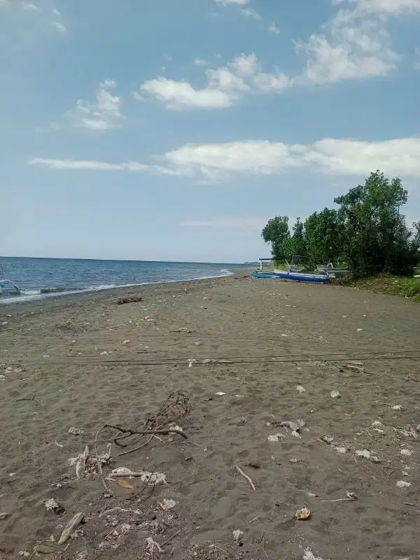 Tanah los pantai sentral Lovina, akses jalan 10 meter aspal