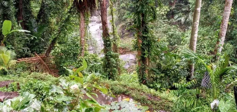 Dijual Tanah Tebing Sungai Petanu, Ubud, Lokasi Strategis
