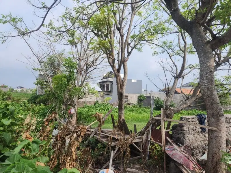 Tanah di pura demak Denpasar, Akses jalan 7 meter