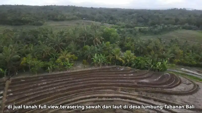 Tanah kontur datar view laut terasering sawah di Tabanan
