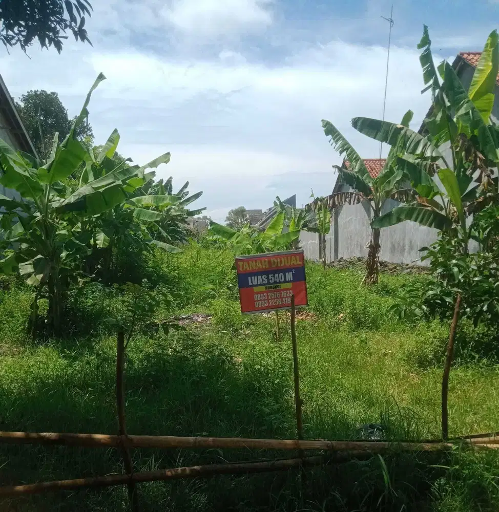 Tanah Murah di Batang Jawa Tengah