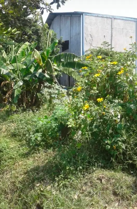 tanah kavling setrategis