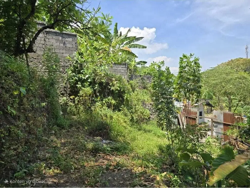 DIJUAL TANAH LUAS COCOK UNTUK RUMAH DAN USAHA