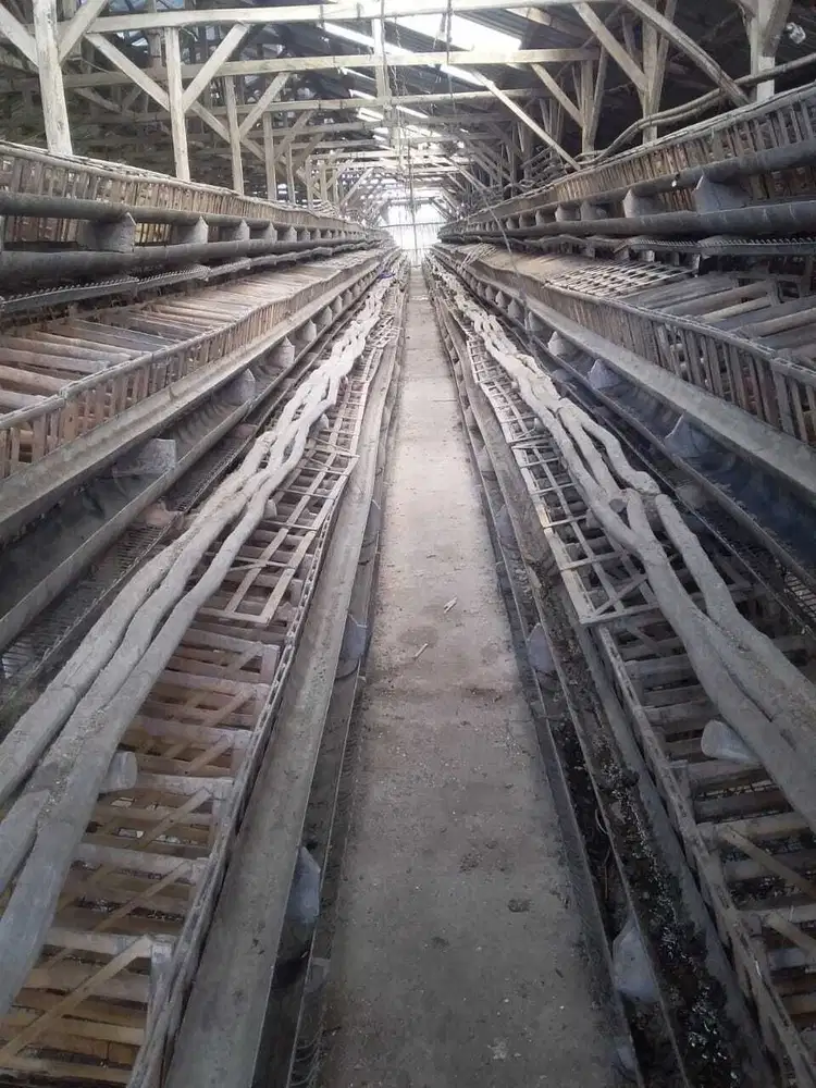 Turun Harga  Dijual tanah dan kandang ayam petelur di Ciparay