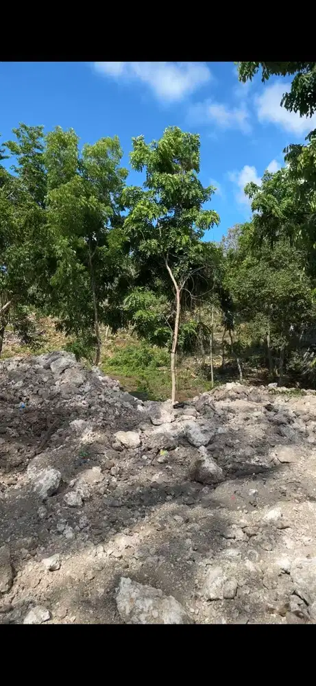 85 are Land for Lease Pecatu Savaya Bali