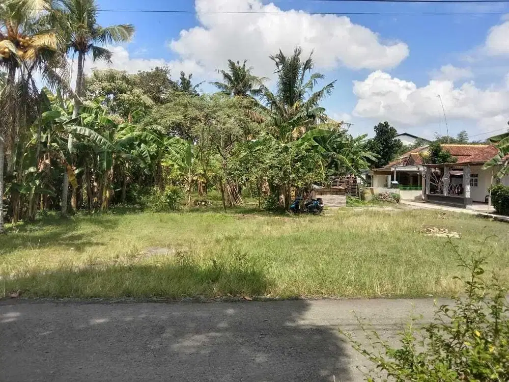 TANAH MAOS DEKAT JALAN PROVINSI DIJUAL MURAH