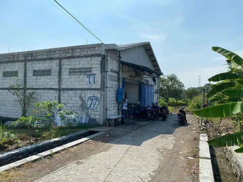gudang murah dekat jalan raya driyorejo dekat wiyung dan citraland