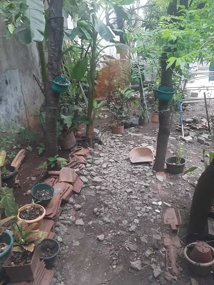 Dijual Rumah Tua Bangunan Kokoh Di Jalan Besar