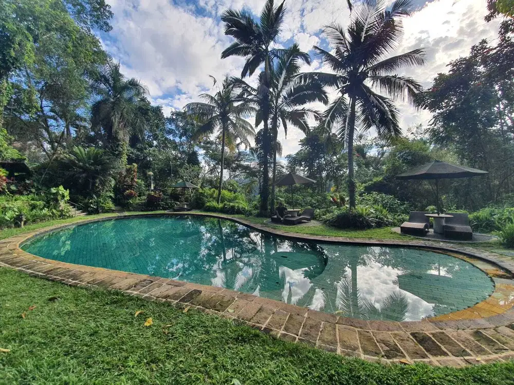 Dikontrakan Pengelolaan Hotel Bintang Di Bali Beserta Izinnya