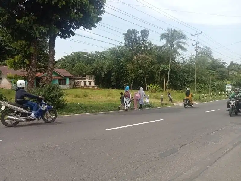 di jual tanah strategis jalan propinsi  mrebet bobotsari