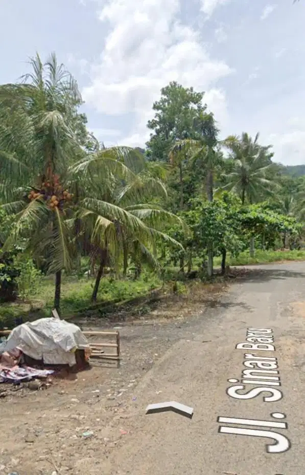 Tanah Dijual Cepat Di Teluk Pandan, Pesawaran dekat Pantai Mutun