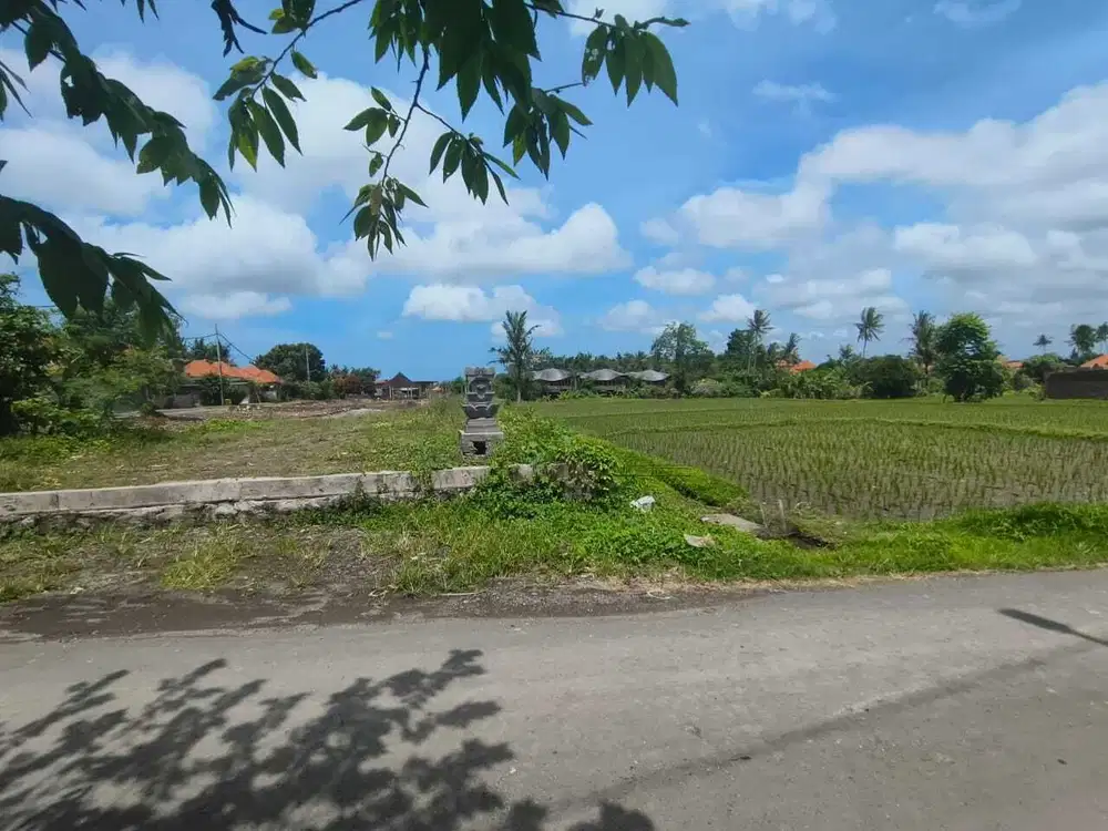 Tanah 650m2 View Sawah Lingkungan Villa Mewah Kemenuh Ubud