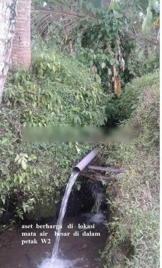 Tanah di jln Krasan Abiansemal Badung Bali