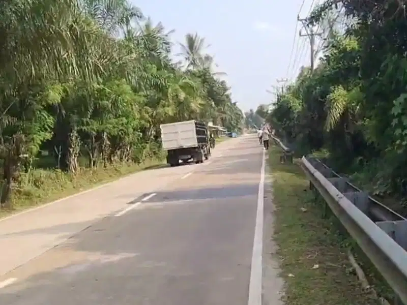 Dijual tanah di Saketi Malingping Banten