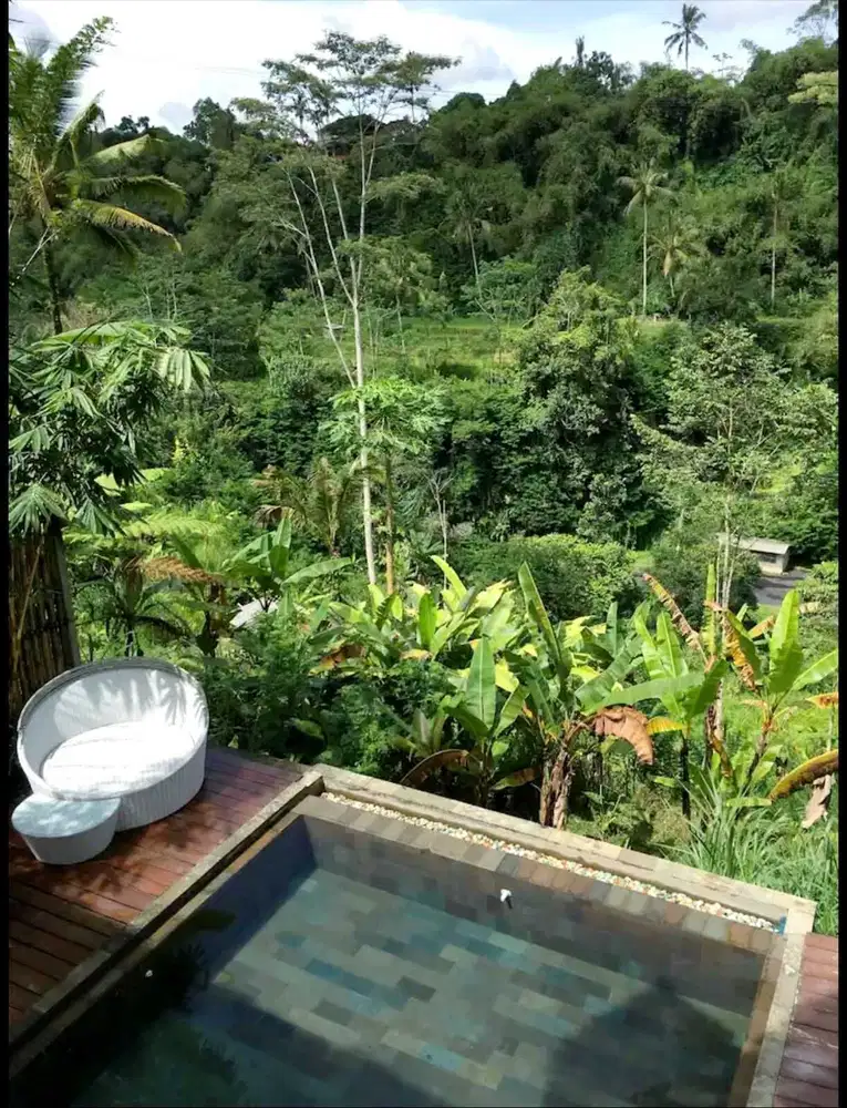 Villa Mewah View Sungai dan Hutan di Ubud Tegalalang