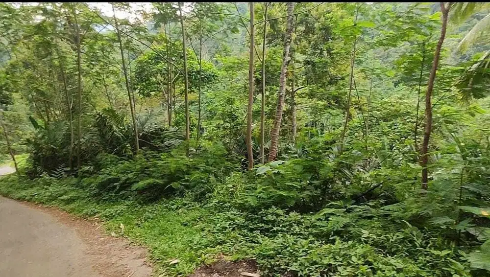 Tanah siap untuk garap di Cineam Tasik