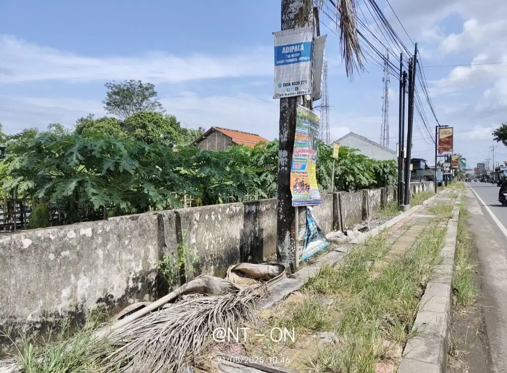 TANAH DEKAT TERMINAL DAN PASAR ADIPALA JUAL MURAH