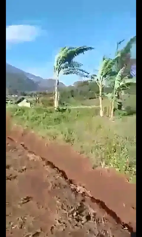 Tanah view pegunungan luas 10500 m2 di Trawas, Kabupaten  Mojokerto