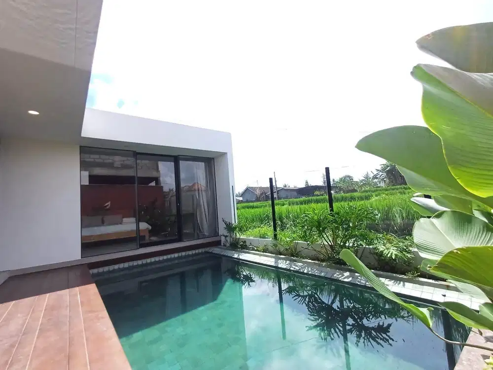 Villa Mewah View Sawah Modern Tropis di Ubud