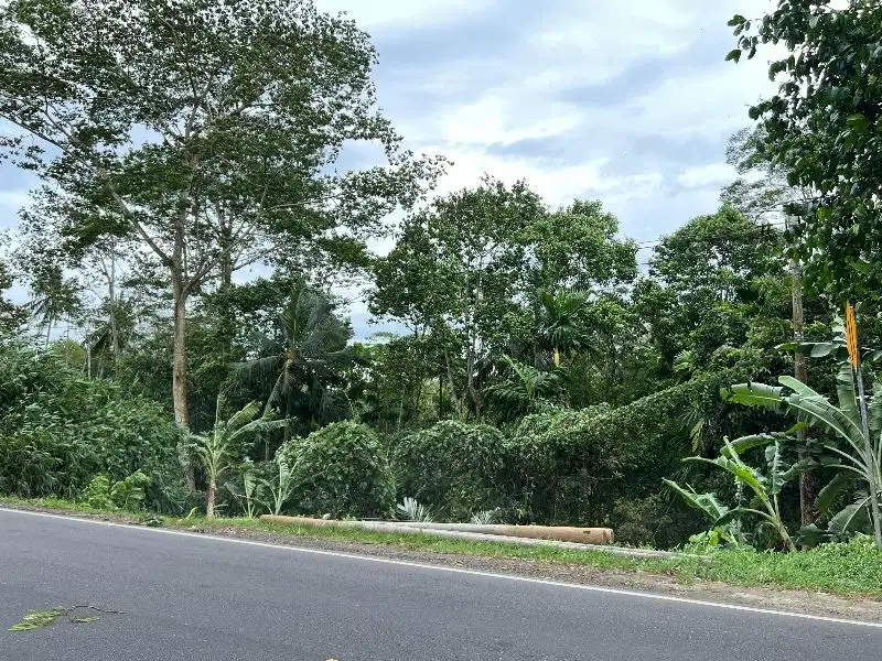 Tanah Strategis Akses Jalan Raya Cilongok