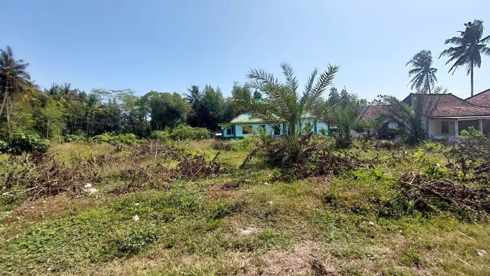 Tanah Strategis Murah Dekat Kota Purworejo