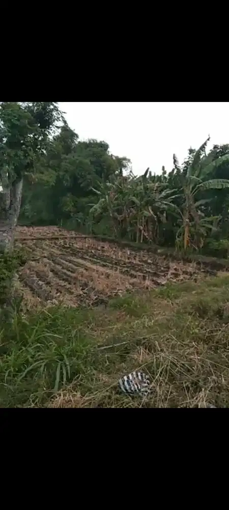 Lahan Industri luas 6 HA harga 500 ribu permeter di Rejoso, Nganjuk