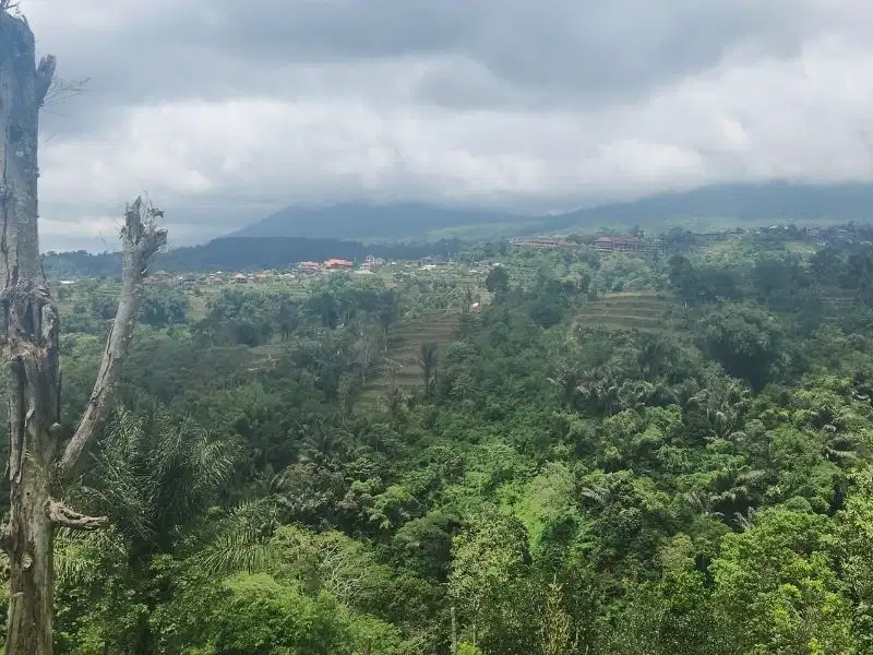 Villa modern minimalis di Sanur, cocok untuk villa pribadi, komersil