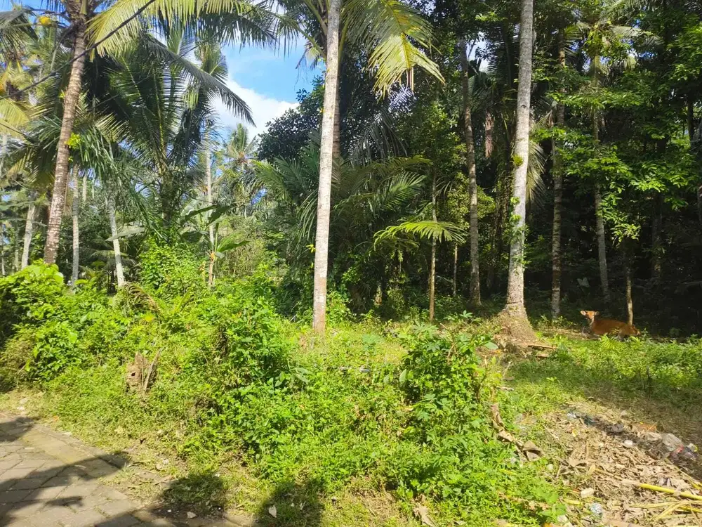 Tanah View Alam Ubud Bisa Ambil 600m2