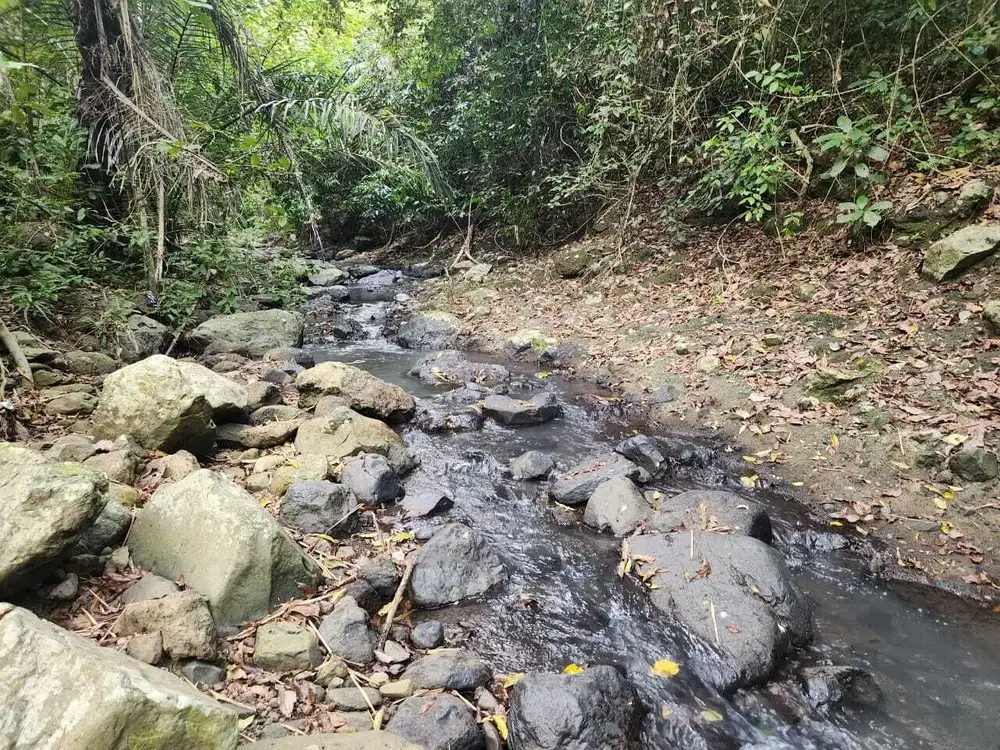 Tanah los sungai di tabanan, Akses jalan 7 meter