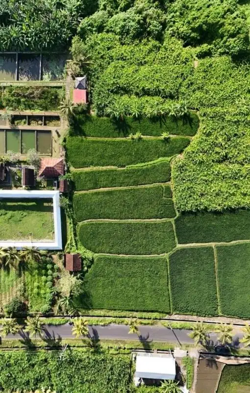 Tanah Komersial Strategis di Ubud, Cocok untuk Investasi