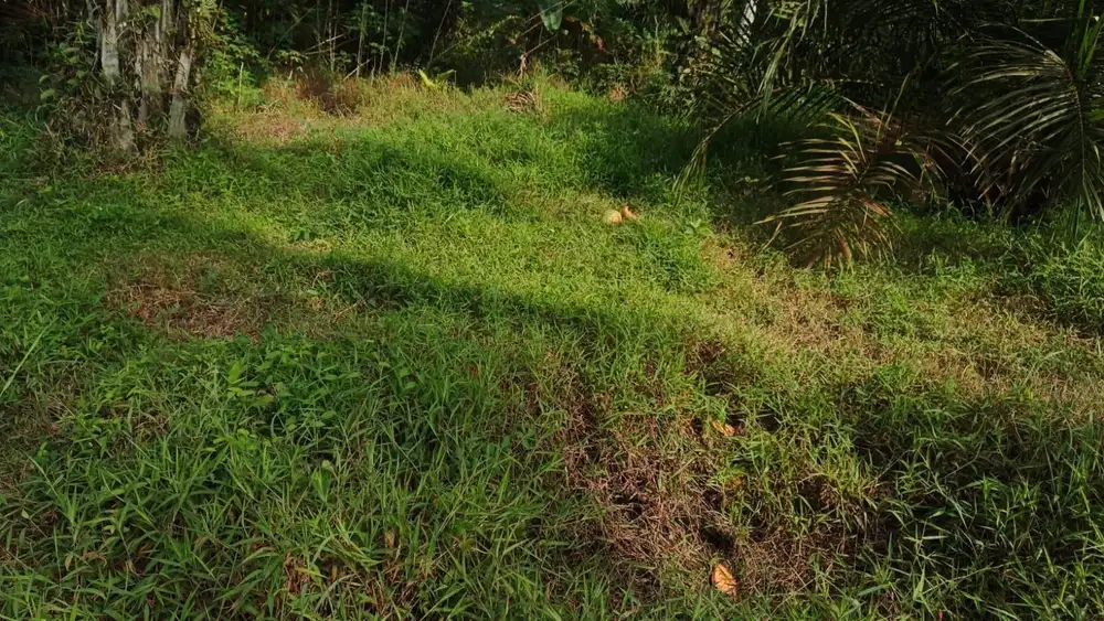 [DIJUAL] Tanah 1.746 m² – Cocok untuk Gudang atau Rumah