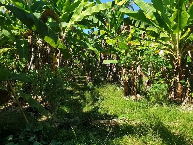 Tanah los sungai full view laut, cocok untuk villa atau investasi