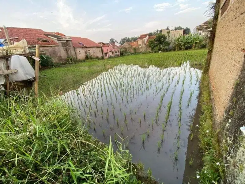 Dijual Tanah SHM di Waas Cianjur Jawa Barat