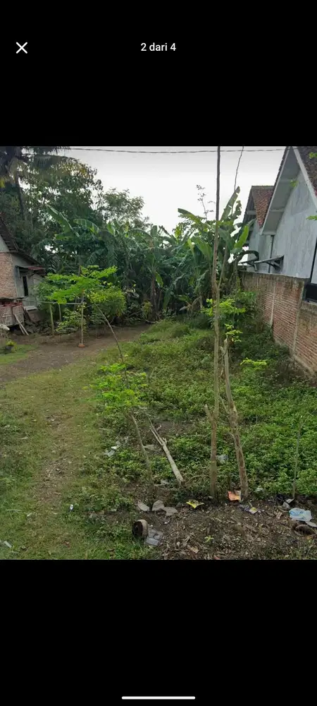 TANAH ADIREJA WETAN ADIPALA JUAL MURAH