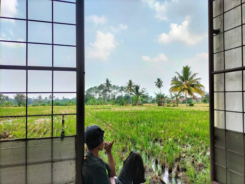 Dijual Rumah + Sawah Produktif di Belakangnya di Mekarsari Cianjur