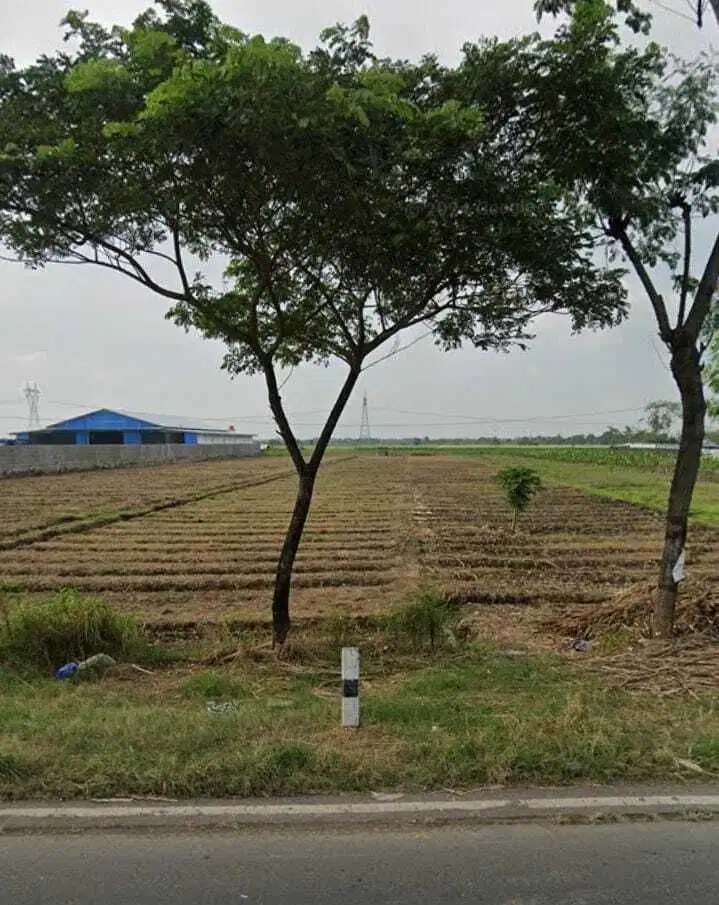Tanah di Brebes cocok untuk gudang dan pabrik