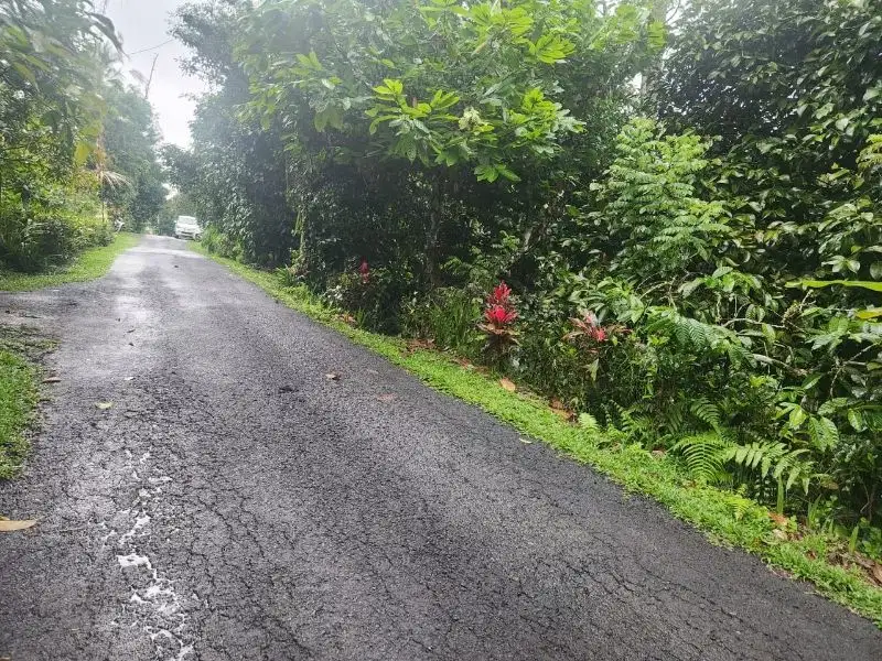 Tanah view terasering sawah bonus sumber mata air di Tabanan