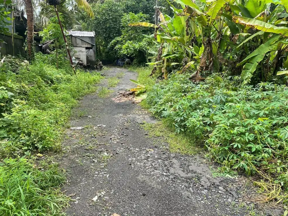 Dijual Tanah 1,3 Hektar Los Sungai View Laut Pantai Saba