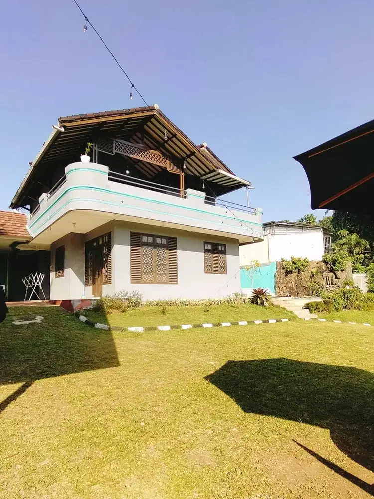 VILLA GREEN WARRIOR RITHA