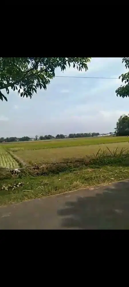 Lahan industri luas 9200 m2 hanya 6 km dari gerbang tol Nganjuk