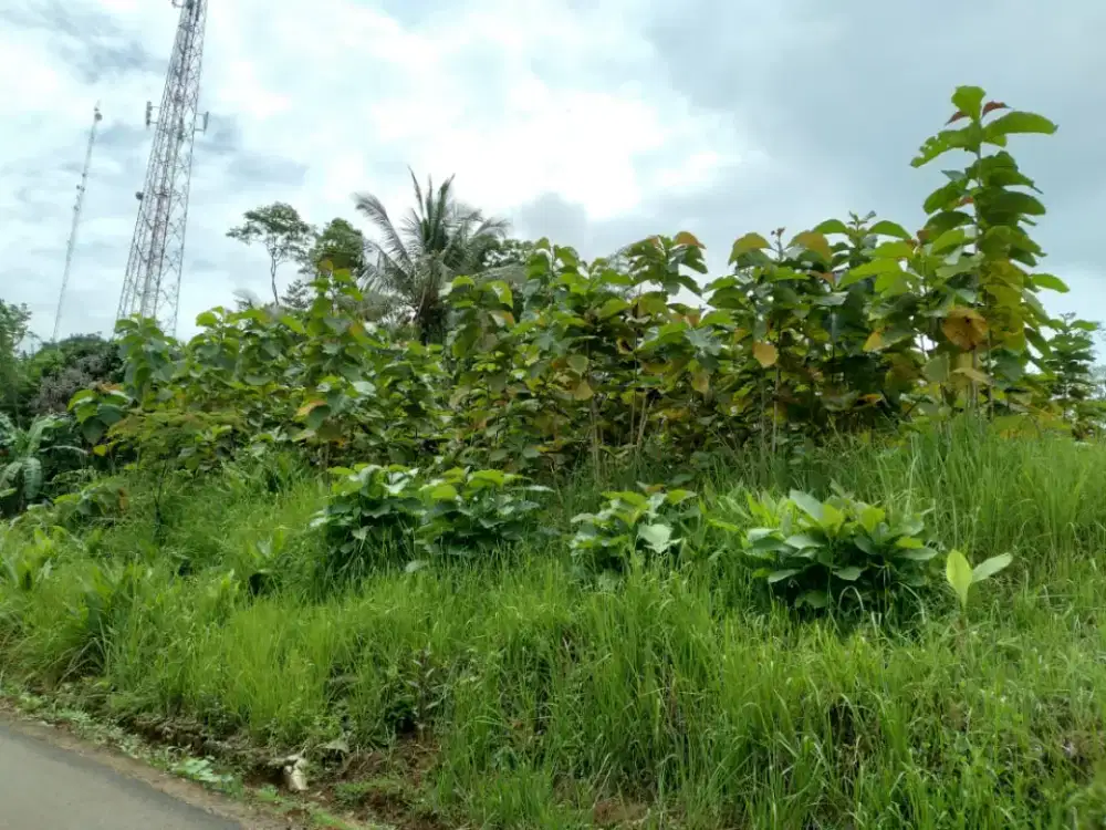 Dijual tanah lokasi strategis