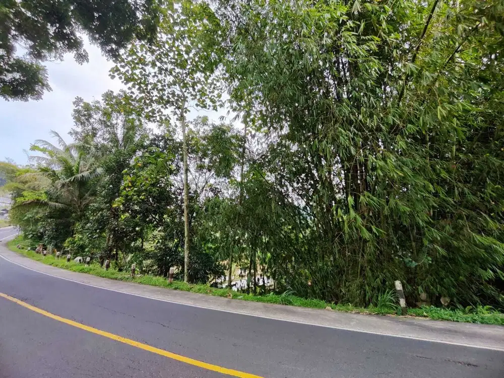 tanah dan kolam ikan di pinggir jalan raya provinsi