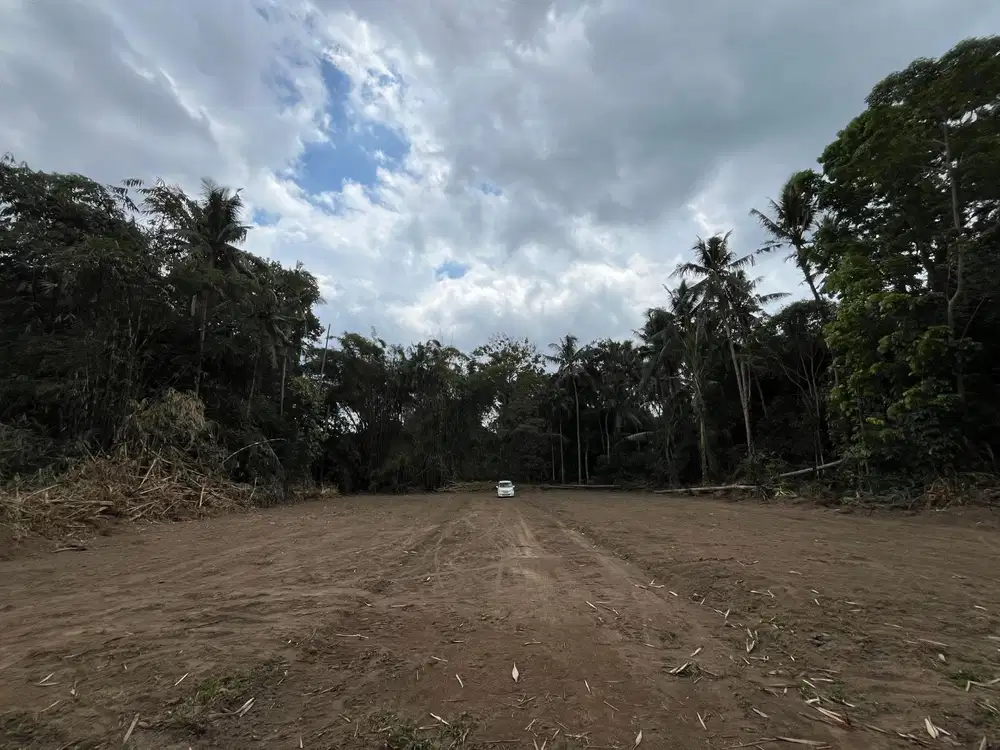Tanah Jogja Dijual, Barat Kantor BPN Sleman