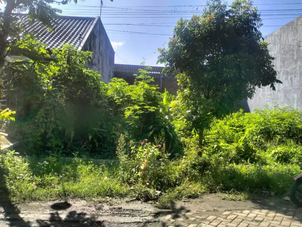Tanah Kost Area Soekarno Hatta Dekat Kampus Brawijaya Cocok Untuk Kost